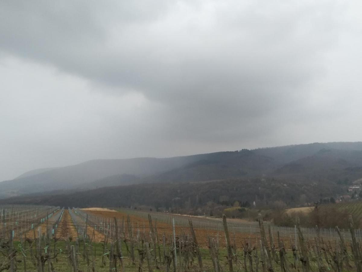 Casa Beata Villa Lesencetomaj Bagian luar foto