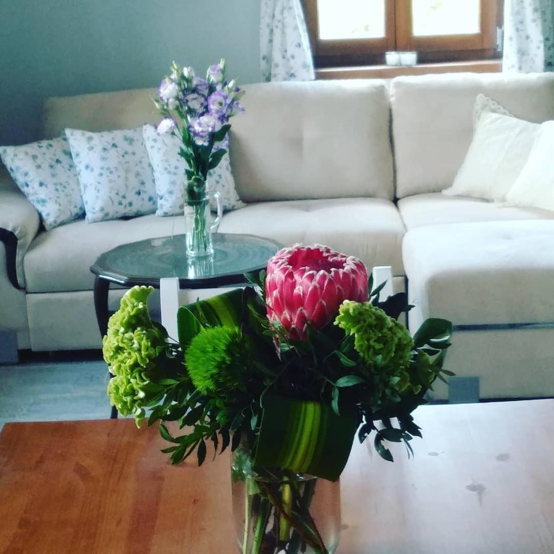 Casa Beata Villa Lesencetomaj Bagian luar foto