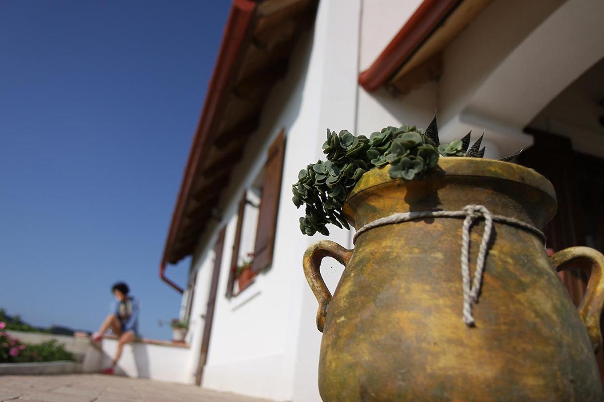 Casa Beata Villa Lesencetomaj Bagian luar foto
