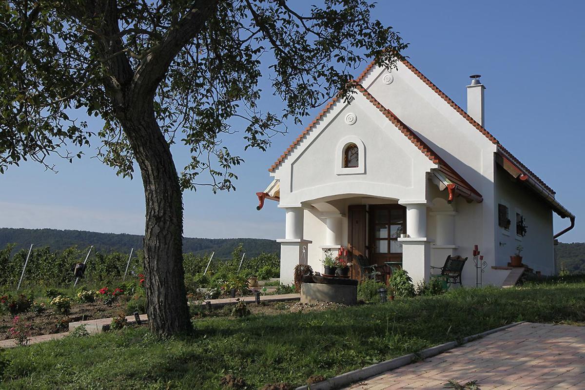 Casa Beata Villa Lesencetomaj Bagian luar foto