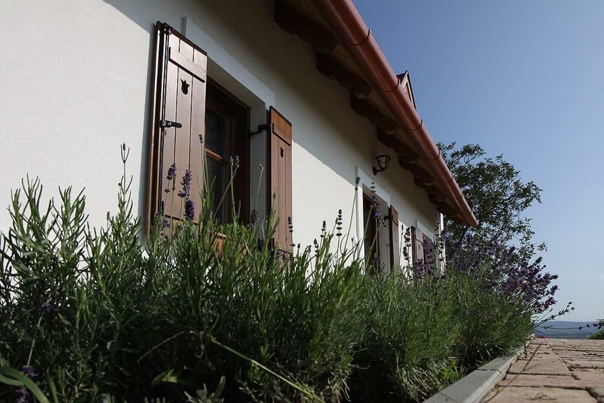 Casa Beata Villa Lesencetomaj Bagian luar foto