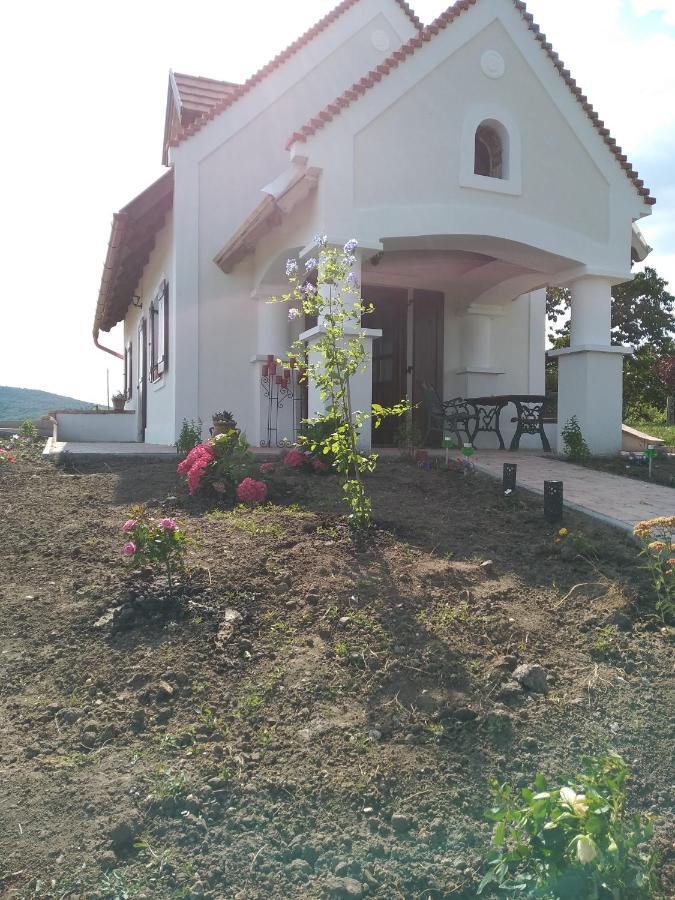 Casa Beata Villa Lesencetomaj Bagian luar foto